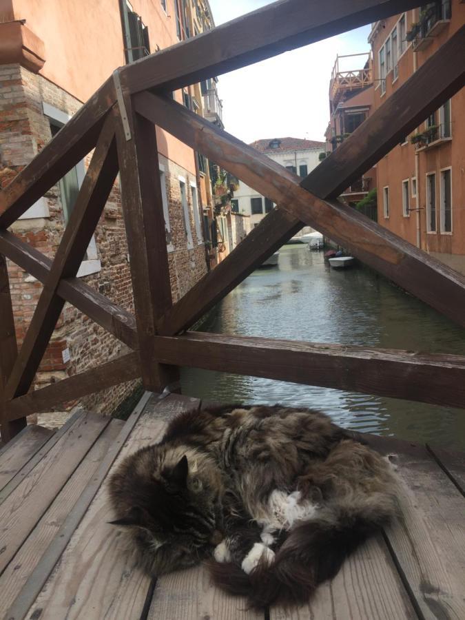 Tintoretto 4, 3 Grandi Camere Da Letto, 2 Bagni البندقية المظهر الخارجي الصورة